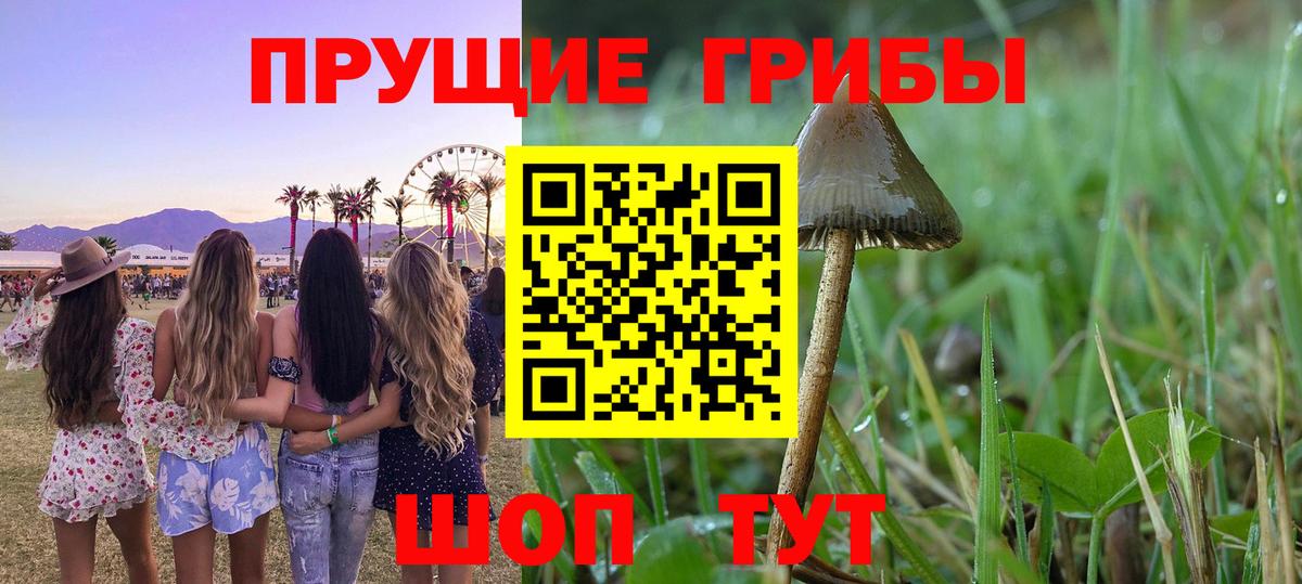 Псилоцибиновые грибы MAGIC MUSHROOMS Кострома